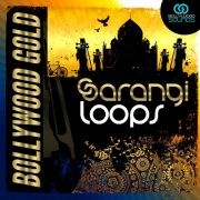 Bhangra Elements Sample Loops Pack